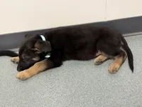 processed/dc6231c8-08c7-482a-8310-25345496ea91/listing/b93b03f3-cb43-4a5f-8f7d-3e1bb6898f8f/50cc85b8-52c3-45c2-8e4b-cdbd40496236