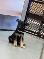 processed/dc6231c8-08c7-482a-8310-25345496ea91/listing/b93b03f3-cb43-4a5f-8f7d-3e1bb6898f8f/700962ec-4155-48fd-826e-a51d9c3158da