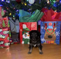 processed/dc6231c8-08c7-482a-8310-25345496ea91/listing/b93b03f3-cb43-4a5f-8f7d-3e1bb6898f8f/74441174-8660-49fe-870d-354ccc506e8f