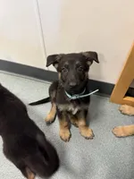 processed/dc6231c8-08c7-482a-8310-25345496ea91/listing/b93b03f3-cb43-4a5f-8f7d-3e1bb6898f8f/94f8e35d-603d-409a-a253-2f20808d3336