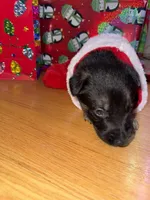 processed/dc6231c8-08c7-482a-8310-25345496ea91/listing/b93b03f3-cb43-4a5f-8f7d-3e1bb6898f8f/ec59e75d-5847-4700-b3af-4f2cc8ea0a29