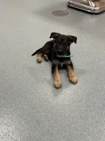 processed/dc6231c8-08c7-482a-8310-25345496ea91/listing/b93b03f3-cb43-4a5f-8f7d-3e1bb6898f8f/fb21dc41-42c1-43e3-893c-bf68c282671d