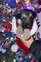 processed/dc6231c8-08c7-482a-8310-25345496ea91/listing/de919354-3957-42d7-9039-abf653a2dfe7/05e3df26-d7f5-4715-98af-55fc16efdb33