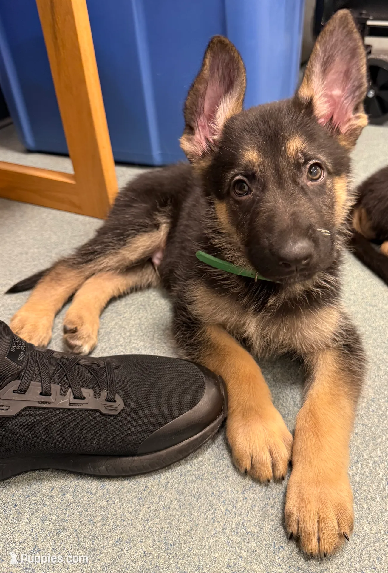 processed/dc6231c8-08c7-482a-8310-25345496ea91/listing/de919354-3957-42d7-9039-abf653a2dfe7/6020ac2a-0c36-47f9-8a14-21ba787de2a1