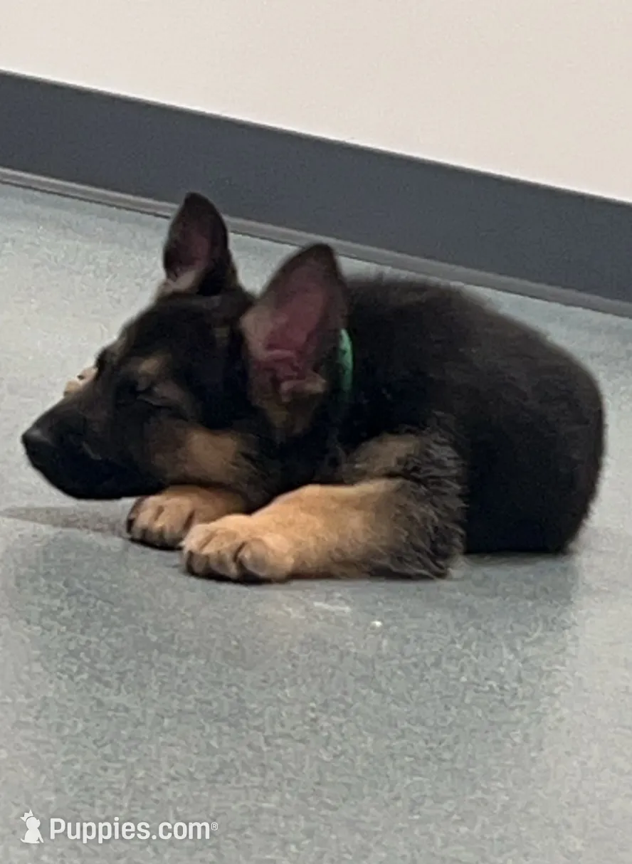 processed/dc6231c8-08c7-482a-8310-25345496ea91/listing/de919354-3957-42d7-9039-abf653a2dfe7/b3fc6736-14a4-44d8-9ba7-6d205cf7599f