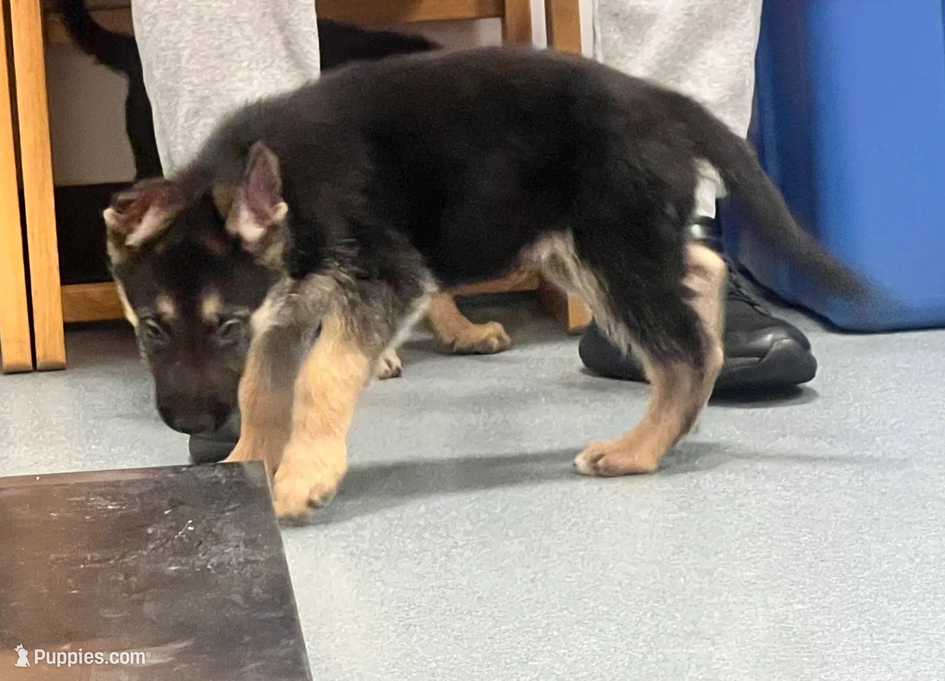 processed/dc6231c8-08c7-482a-8310-25345496ea91/listing/de919354-3957-42d7-9039-abf653a2dfe7/c5ea3166-f9b3-4b3d-b12b-13d59f08714f