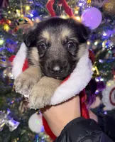 processed/dc6231c8-08c7-482a-8310-25345496ea91/listing/de919354-3957-42d7-9039-abf653a2dfe7/caa3c6bd-d2c0-414d-a067-820ffad4373f