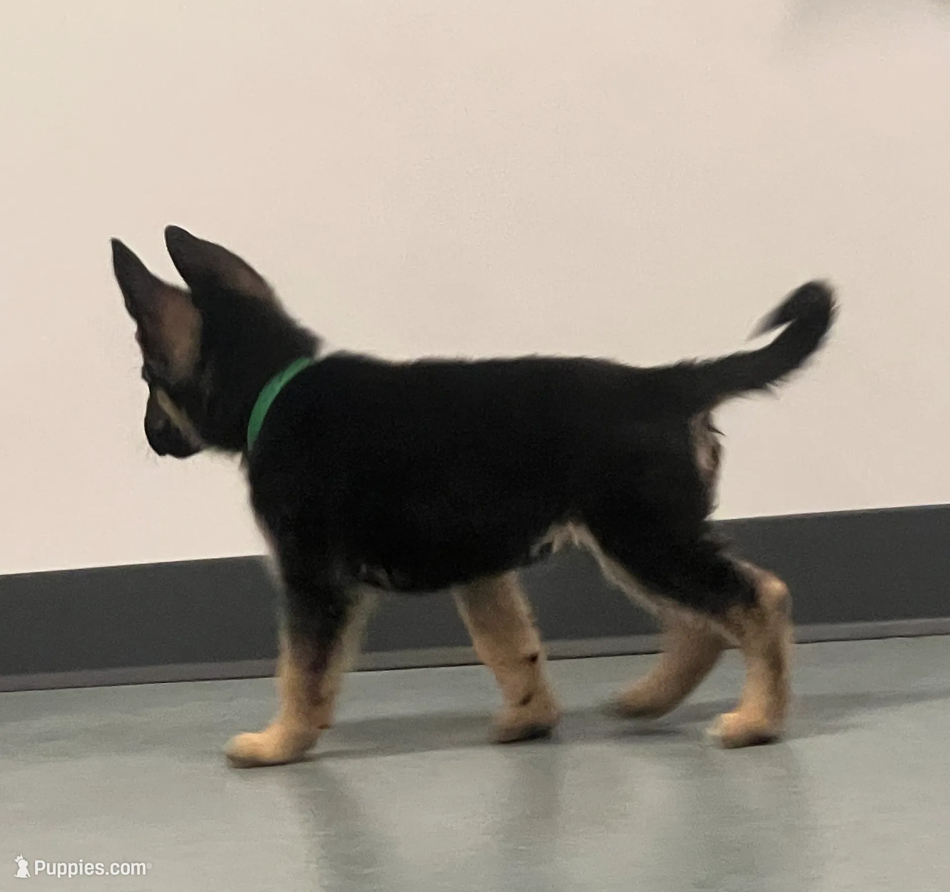 processed/dc6231c8-08c7-482a-8310-25345496ea91/listing/de919354-3957-42d7-9039-abf653a2dfe7/efe2cb13-6460-4012-a851-f6f95699cb52