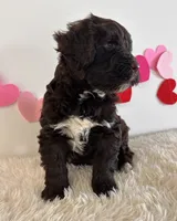 processed/dc63ed7d-8a7a-4f5d-ad13-f7f8a716e2a9/listing/028686a9-7653-4ddd-969c-6f853521cdc0/0fcb9f3c-0950-4ca2-91ef-f3e955493bbf