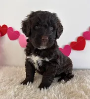 processed/dc63ed7d-8a7a-4f5d-ad13-f7f8a716e2a9/listing/028686a9-7653-4ddd-969c-6f853521cdc0/683e0715-bf8d-4106-a773-770c2c3ebe4c