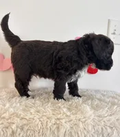 processed/dc63ed7d-8a7a-4f5d-ad13-f7f8a716e2a9/listing/0b4dd85b-3799-4497-984b-a1df1f2482de/ee08765a-f13d-42d3-8730-fb47835bdd1d