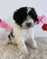 processed/dc63ed7d-8a7a-4f5d-ad13-f7f8a716e2a9/listing/5c3fe30f-b519-4d70-9f13-c0f06ffb21bd/bd042a2b-da2b-48a1-9f28-3af12ebe1083