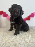 processed/dc63ed7d-8a7a-4f5d-ad13-f7f8a716e2a9/listing/6c76f235-e0f3-4d5e-9909-002880794840/f15413e1-717a-4037-acb8-6b3278a7f9f7