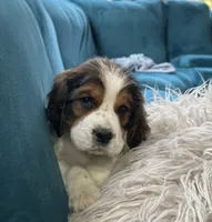 processed/dc67ab0c-a24a-44ec-bb1a-9983b31b0052/facility/3a7a2126-45c3-4862-829c-95a30cb665bc