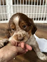 processed/dc67ab0c-a24a-44ec-bb1a-9983b31b0052/facility/6dd98058-6089-4c72-be8f-d145552f2605