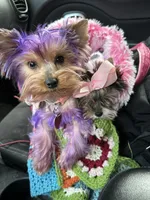 processed/dc67ab0c-a24a-44ec-bb1a-9983b31b0052/facility/75be8b22-a839-43e9-a041-e5117a51b266