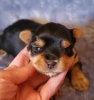 processed/dc67ab0c-a24a-44ec-bb1a-9983b31b0052/facility/e7be5014-2d1b-45de-bf33-71bed89c340d