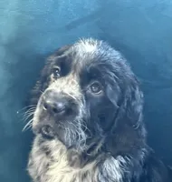 processed/dc67ab0c-a24a-44ec-bb1a-9983b31b0052/facility/f36cf3b6-065d-460e-9168-7ee03529a237