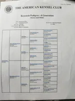 processed/dc71dba9-52c5-4635-bb83-9fe6dc31fa5f/listing/0172f351-e1ce-4d27-af27-fc182310ac8c/6eeb1f9a-146d-4ec3-8c41-eb92844060fb