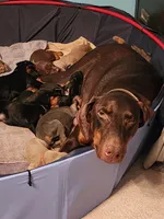 processed/dc71dba9-52c5-4635-bb83-9fe6dc31fa5f/listing/0172f351-e1ce-4d27-af27-fc182310ac8c/efe7b142-64bd-4aac-bebf-34a4907de4bc