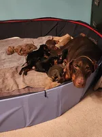 processed/dc71dba9-52c5-4635-bb83-9fe6dc31fa5f/listing/4ed07496-0b5c-4436-a0f3-54c936575034/4ea38a63-5c99-4818-9af6-3873078ccb84