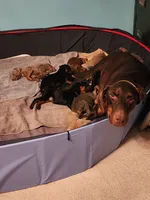 processed/dc71dba9-52c5-4635-bb83-9fe6dc31fa5f/listing/b7b352b4-3479-4dcc-8d80-20314fdae292/71d96b71-4a5c-43a5-b56f-5b99a2573edd