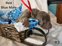 processed/dc71dba9-52c5-4635-bb83-9fe6dc31fa5f/listing/b7b352b4-3479-4dcc-8d80-20314fdae292/e928c514-e502-4b56-9a61-0188d0d8d754