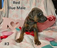 processed/dc71dba9-52c5-4635-bb83-9fe6dc31fa5f/listing/b7b352b4-3479-4dcc-8d80-20314fdae292/f54e43dc-e334-40f4-9beb-0e5be210144a