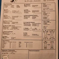 Black Collar, a male Doberman Pinscher for sale in Clinton, OH – Photo 8 of 10