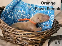 processed/dc71dba9-52c5-4635-bb83-9fe6dc31fa5f/listing/e0dd4f1c-0582-468f-8aeb-8840691544e7/395857a1-d6e9-4e57-965b-8bdf8f423a2f