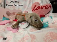 processed/dc71dba9-52c5-4635-bb83-9fe6dc31fa5f/listing/e0dd4f1c-0582-468f-8aeb-8840691544e7/a55cc938-2c62-4d0b-a9a2-8c0c29bfc97b