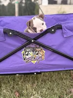 Millie, a female English Bulldog for sale in Rex, GA – 2 of 10