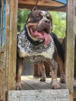 processed/dc98383a-7340-4708-8322-55888912dd59/listing/d76d3e6c-164f-42d1-bcc6-4494dac039cb/11061f8c-4c81-4410-b0da-3229101f1a42