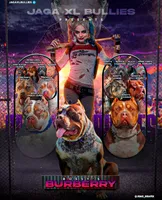 processed/dc98383a-7340-4708-8322-55888912dd59/listing/d76d3e6c-164f-42d1-bcc6-4494dac039cb/b347e1c0-c799-4f08-acd8-1efc4f0e1f0d