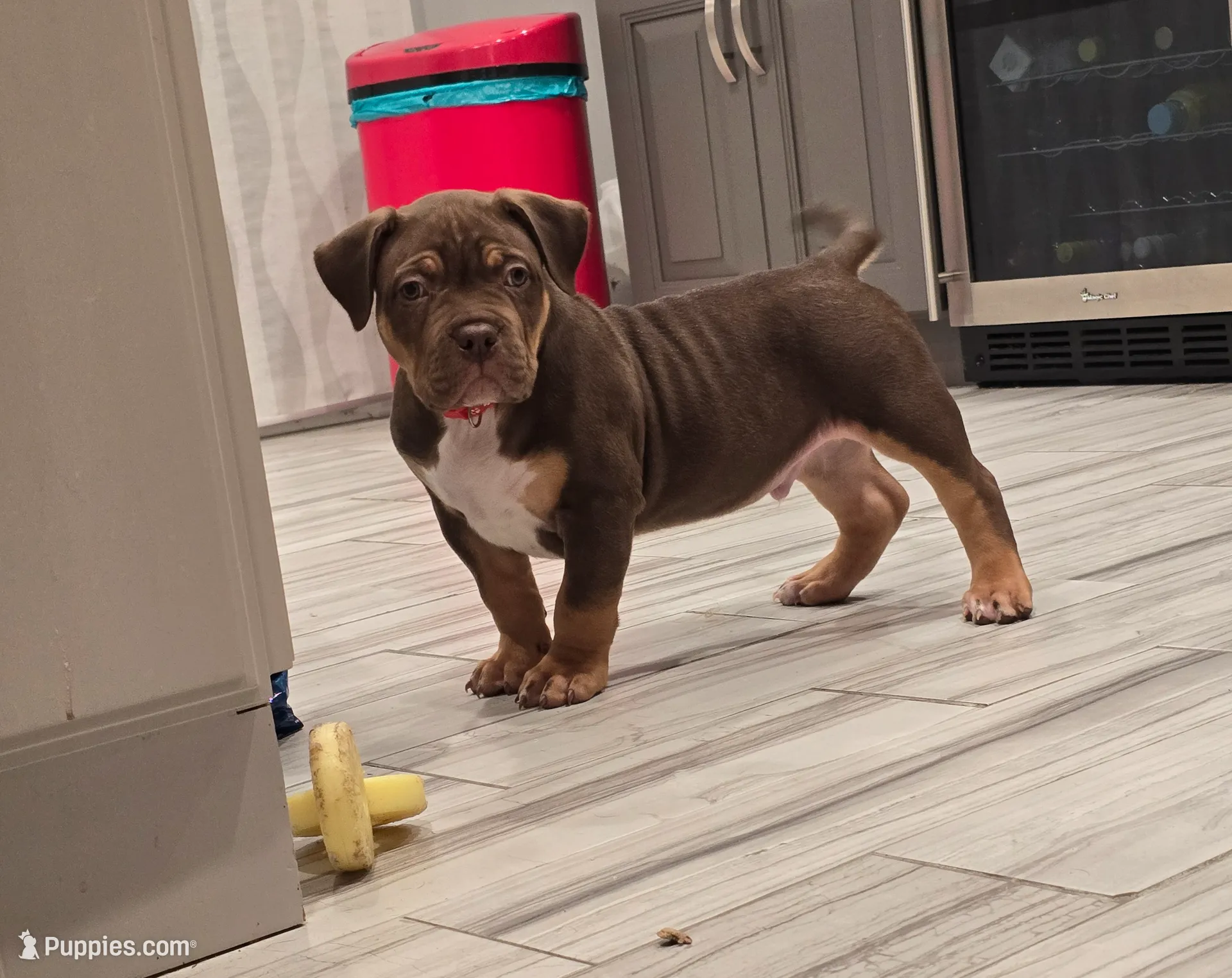 processed/dc98383a-7340-4708-8322-55888912dd59/listing/d76d3e6c-164f-42d1-bcc6-4494dac039cb/ebed7c2a-ae6a-46de-aee4-f9f6cac63e3b