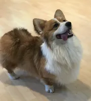 processed/dc9dd8c5-040a-463b-bde4-8fadf1f5aecd/facility/dbdcb506-6de8-4a41-a9b7-e28f8c940f85