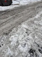 No name , a male American Staffordshire Terrier and American Bully for sale in Cincinnati, OH – Photo 3 of 5