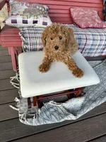 processed/dcadb6dc-a860-42e7-9c5c-3769c9f79e8d/listing/0e5d4b32-2cd9-4216-a92e-1390b48c44bb/0d9a2b01-b69d-4bc2-a0f5-d26105f24bba