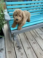 processed/dcadb6dc-a860-42e7-9c5c-3769c9f79e8d/listing/0e5d4b32-2cd9-4216-a92e-1390b48c44bb/122af329-dbb2-44e2-bd6b-051fd2a758ca