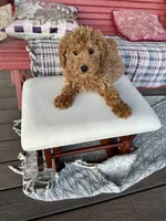 processed/dcadb6dc-a860-42e7-9c5c-3769c9f79e8d/listing/0e5d4b32-2cd9-4216-a92e-1390b48c44bb/293fbef9-904f-4396-99af-e05c73872846