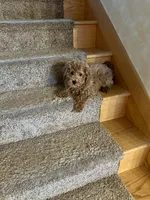 processed/dcadb6dc-a860-42e7-9c5c-3769c9f79e8d/listing/0e5d4b32-2cd9-4216-a92e-1390b48c44bb/68d6d719-40c9-4a0c-8fa4-6f2a82f9b8cb