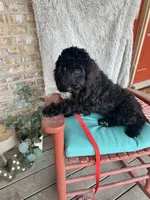 processed/dcadb6dc-a860-42e7-9c5c-3769c9f79e8d/listing/6db7328f-bfa9-4f15-a4f0-83ea00bd620a/4d114b89-9e8a-4d09-9dc9-d7ac7635f44c