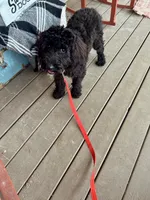 processed/dcadb6dc-a860-42e7-9c5c-3769c9f79e8d/listing/6db7328f-bfa9-4f15-a4f0-83ea00bd620a/a09c9aaf-52df-41df-9f06-747b1e2bd1f8