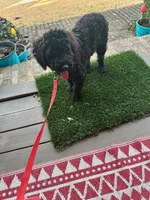 processed/dcadb6dc-a860-42e7-9c5c-3769c9f79e8d/listing/6db7328f-bfa9-4f15-a4f0-83ea00bd620a/a2271750-5fe2-4284-a44d-25f7a46e541d