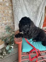 processed/dcadb6dc-a860-42e7-9c5c-3769c9f79e8d/listing/6db7328f-bfa9-4f15-a4f0-83ea00bd620a/e5b1db93-ee70-4689-989a-40abcc6429f9