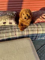 processed/dcadb6dc-a860-42e7-9c5c-3769c9f79e8d/listing/b515e00f-e3a9-4caa-b949-5fb195b87441/6d27257c-2cd9-4358-8fc6-659f4dbbdf9a