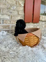 Lola, a female Cavapoo for sale in Bowling Green, KY – 3 of 4
