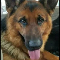 processed/dcae720b-5950-4433-93e7-a0d653093aab/facility/162f0ee5-4de8-4956-8d8d-71f471f5efb6