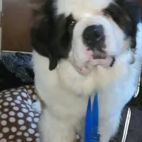 processed/dcae720b-5950-4433-93e7-a0d653093aab/facility/18a612f5-3ffe-497e-9eff-8796dae16620