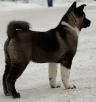 processed/dcae720b-5950-4433-93e7-a0d653093aab/facility/21cb404a-1764-444e-9adb-1f39b00fa072